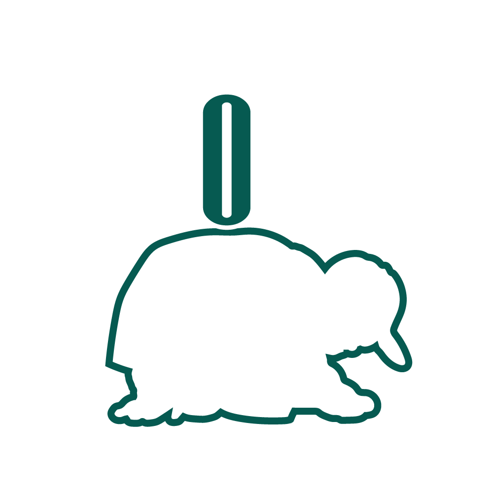 Flopee - Next Gen Fashion